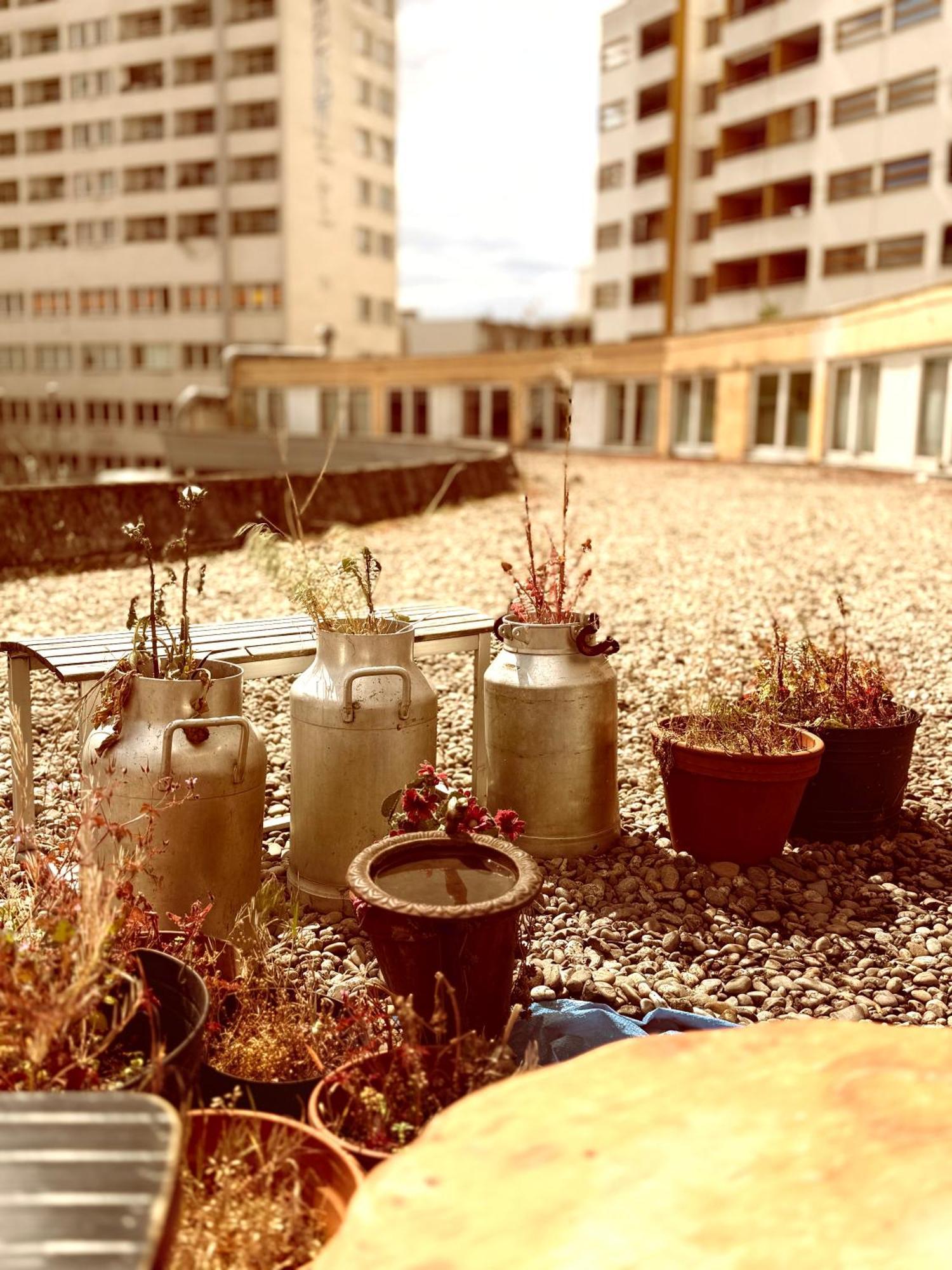 Comebackpackers Berlin Exterior photo